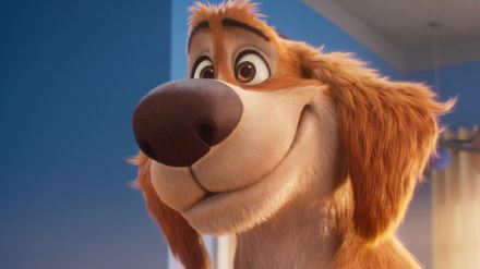 Superpes Karlík (5)