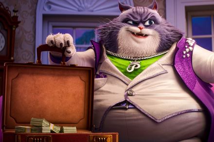 Superpes Karlík (6)