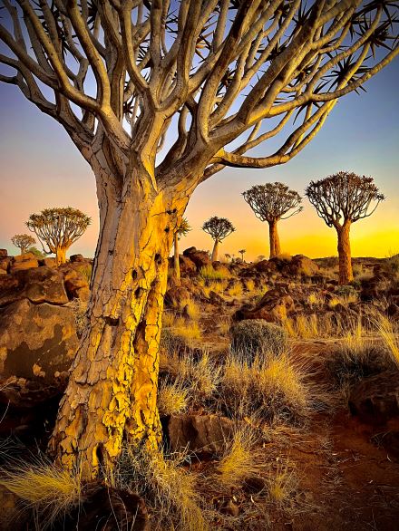 TONY RŮŽEK: AFRIKOU Z AUSTRÁLIE DO EVROPY (4)