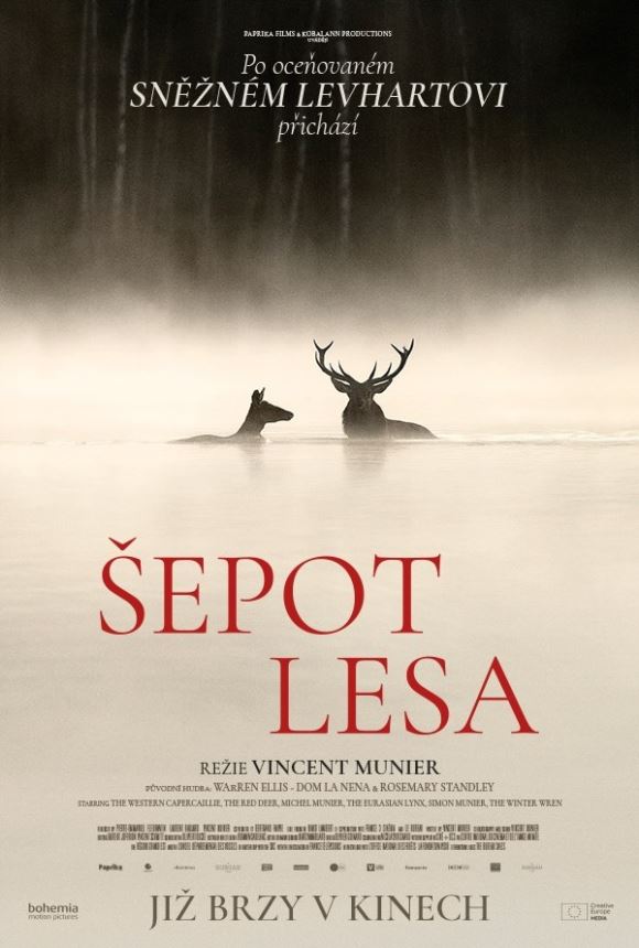 Šepot lesa