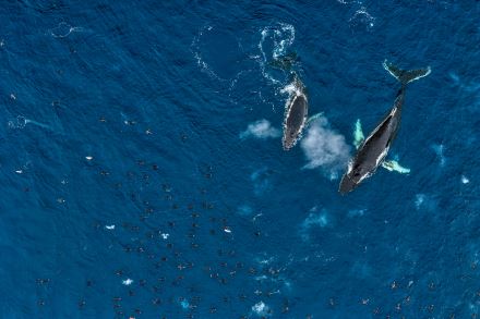 ANTARKTIDA: VŠECHNO, NEBO NIC (3)