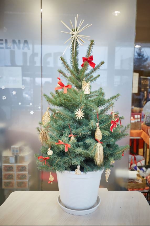 ADVENTNÍ TRHY V UFFU