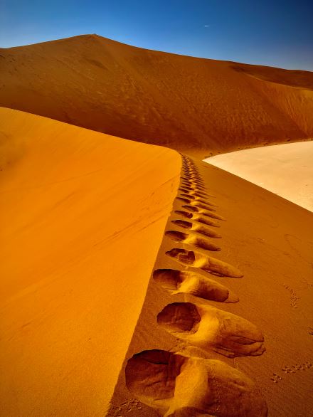 TONY RŮŽEK: AFRIKOU Z AUSTRÁLIE DO EVROPY (3)