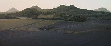 Wirbel (10)