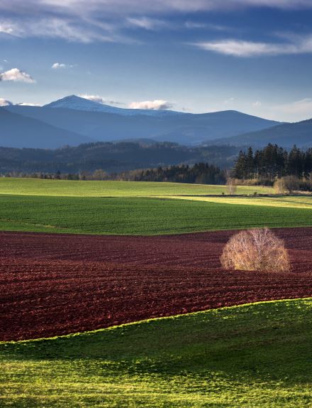 CTIBOR KOŠŤÁL: ZE ŽIVOTA FOTOGRAFA