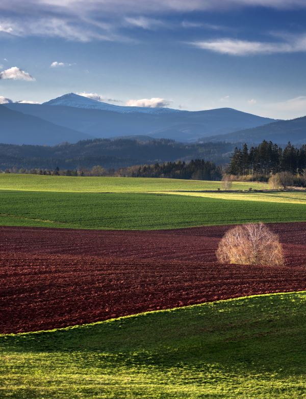 CTIBOR KOŠŤÁL: ZE ŽIVOTA FOTOGRAFA