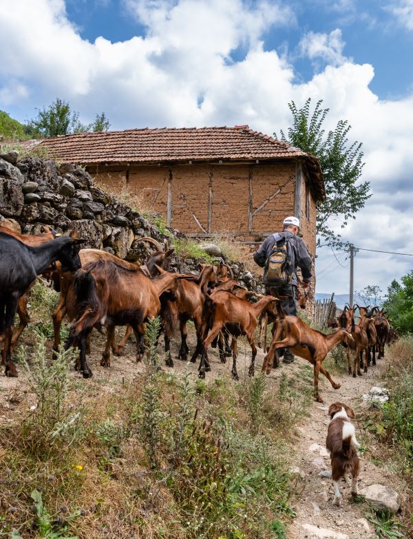 PAVLA BIČÍKOVÁ: SEVERNÍ MAKEDONIE